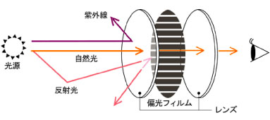 偏光レンズの構造と仕組み。