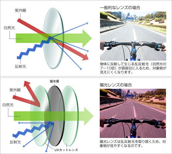 （写真1）「一般的なレンズ」と「偏光レンズ」の仕組みや見え方の違いが図と写真で紹介されている。