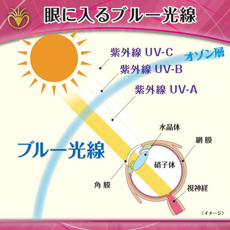 ブルー光線（ブルーライト）は、まぶしさを感じさせるだけでなく、目の奥の網膜まで届き、目の疲れの原因にもなる。eyebrella（アイブレラ）は、紫外線とブルー光線をダブルでブロック。瞳の健康を守ることができる。 image by SUPLUS