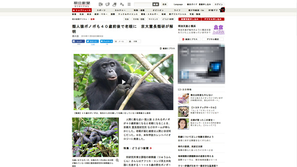 類人猿ボノボも４０歳前後で老眼に　京大霊長類研が解明：朝日新聞デジタル