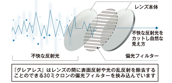 偏光レンズの仕組み