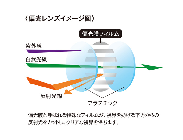 偏光レンズイメージ図