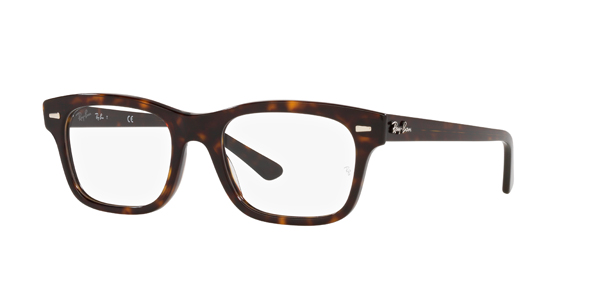 Ray-Ban（レイバン） BURBANK OPTICS RB5383F 5945 54-19